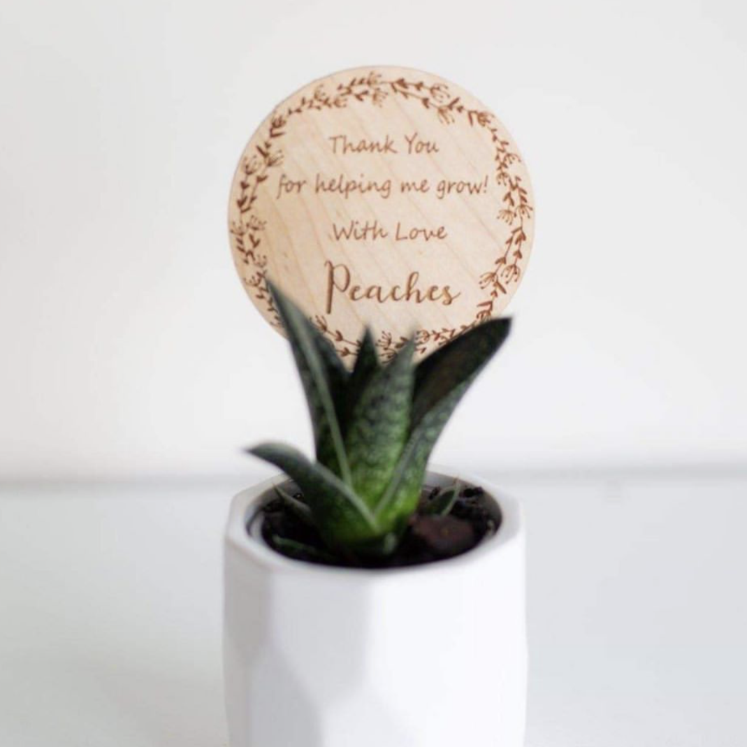 Teacher's Plant Tags - The Confetti Gift Co
