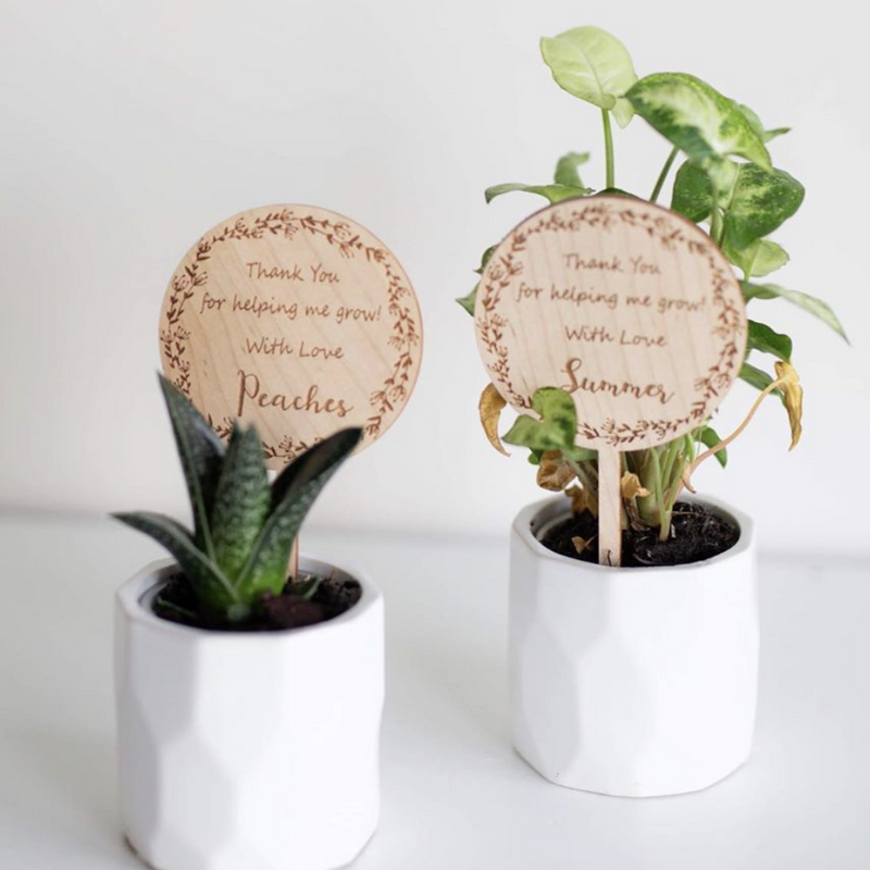 Teacher's Plant Tags - The Confetti Gift Co